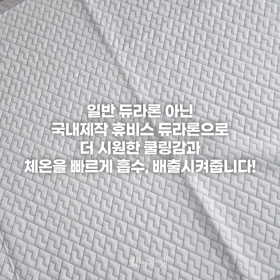 자이언트 실크데이지 포토존 9