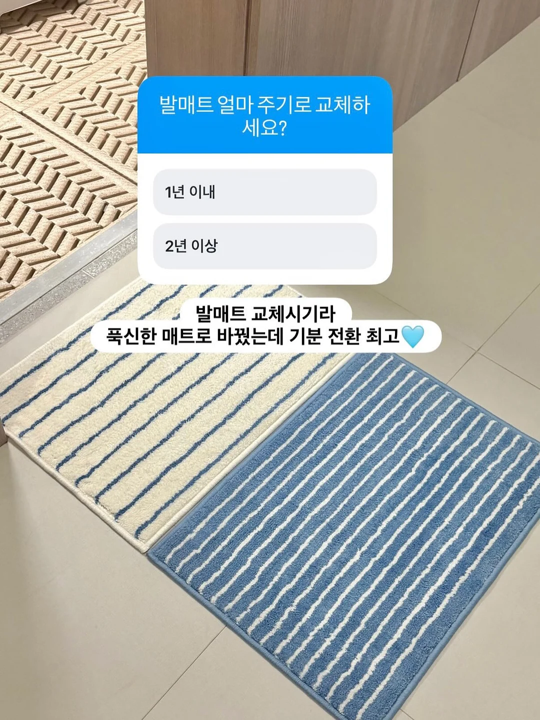 치석 제거 1