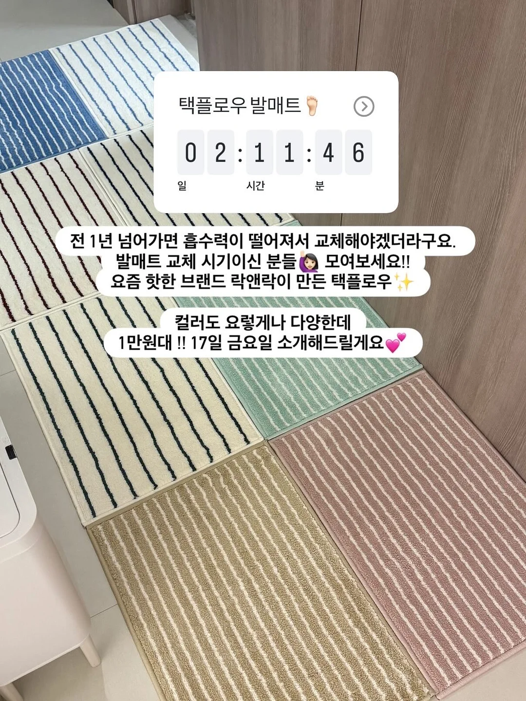 치석 제거 2