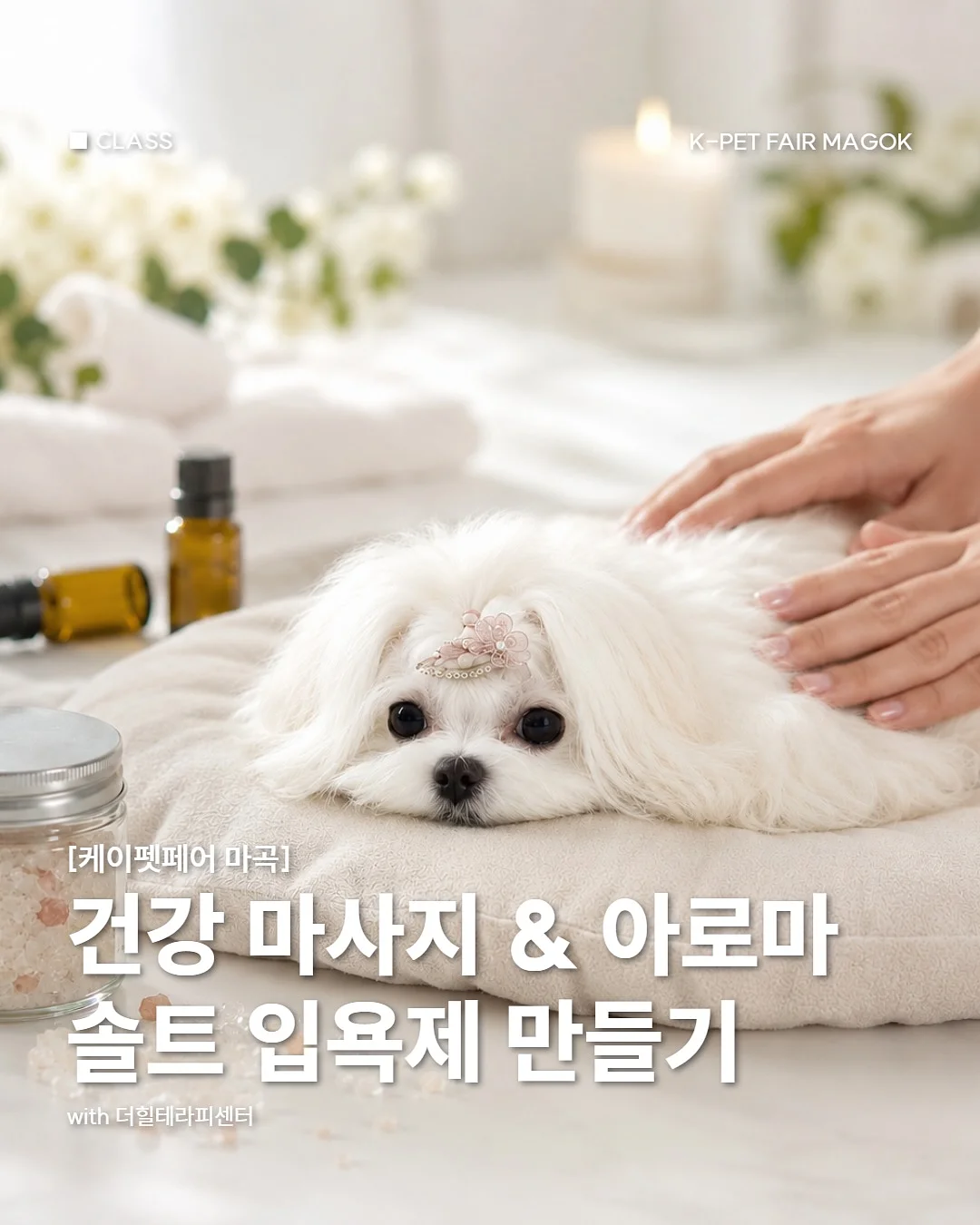 하이파이브 금융 교육 1