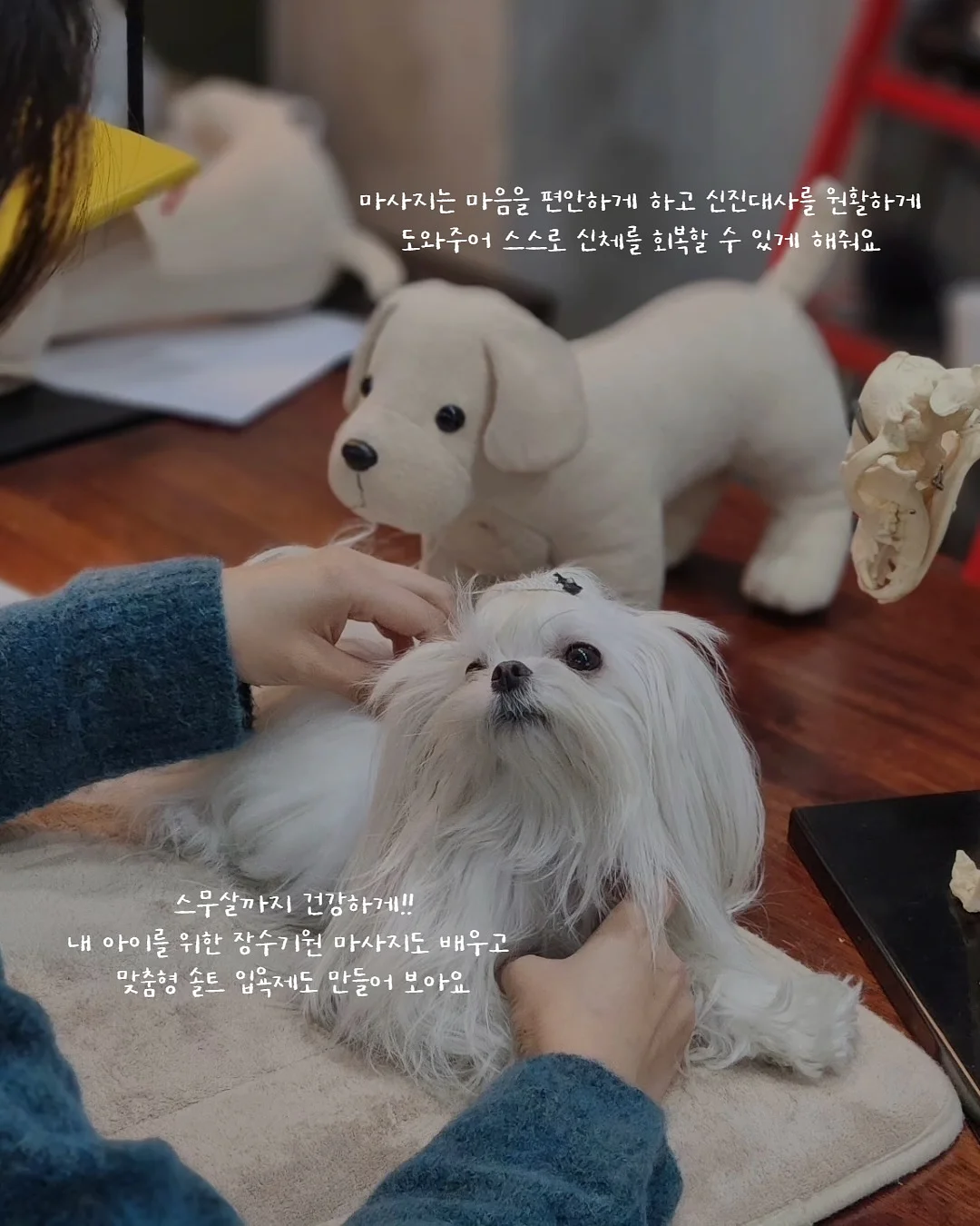 하이파이브 금융 교육 2