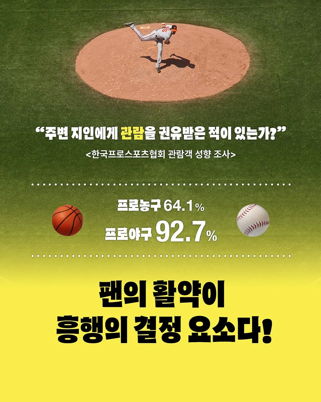 미야오 스트라이프 레그 워머 2
