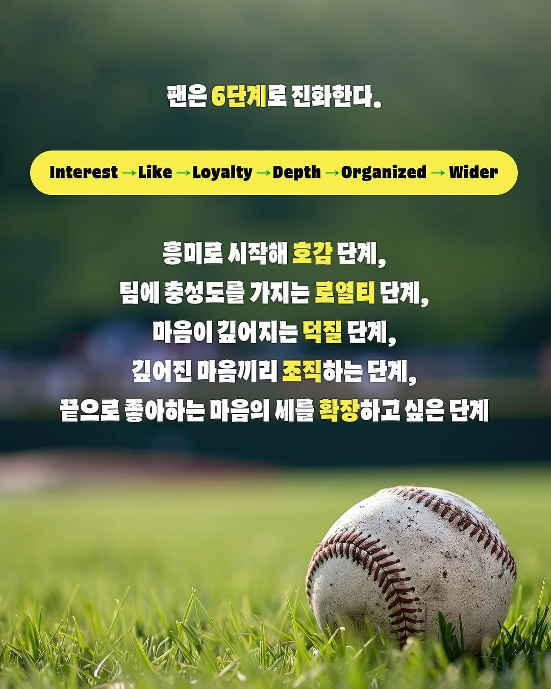 미야오 스트라이프 레그 워머 3