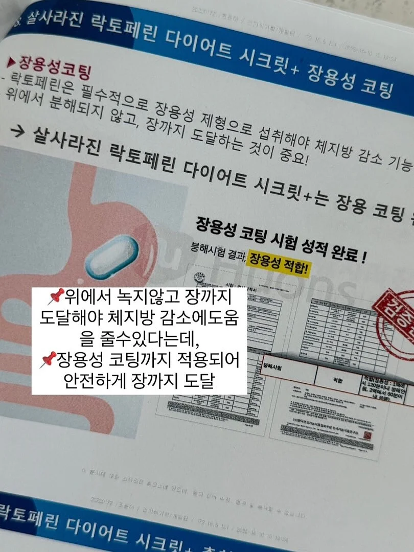 김치 누름판 12