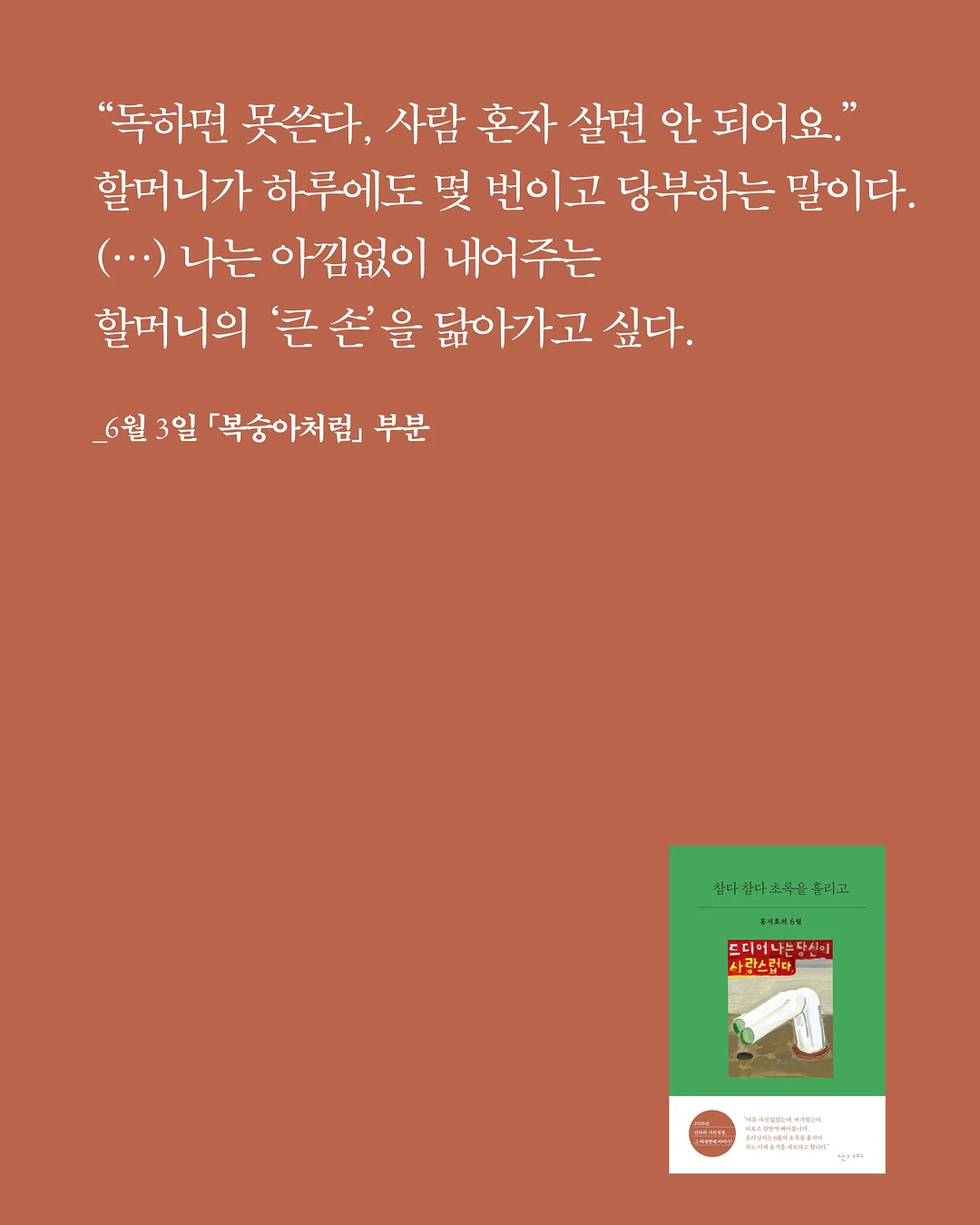 봉봉 아일렛 삭스 3
