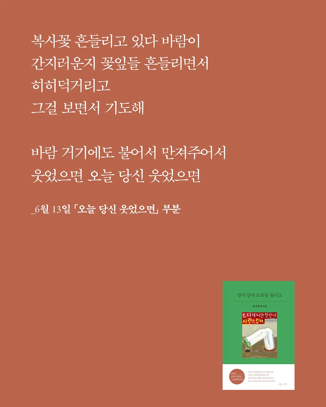 봉봉 아일렛 삭스 6