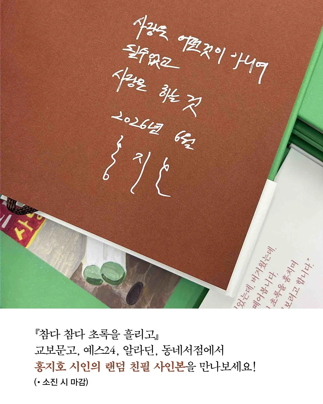 봉봉 아일렛 삭스 8
