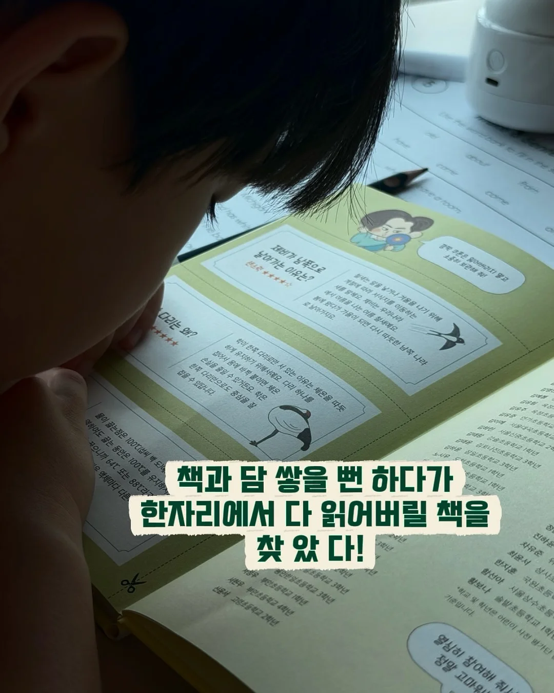 원소 주기율표 활동세트 3