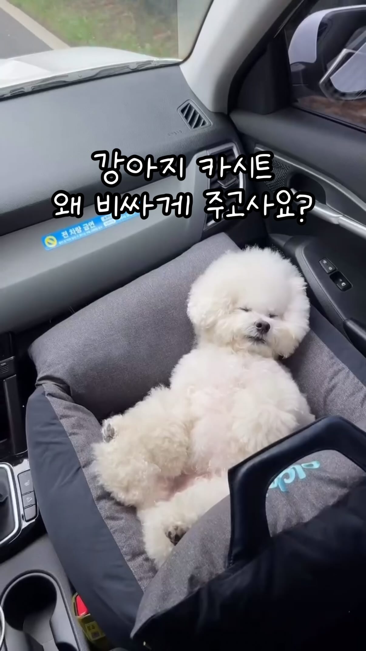 펀치니들