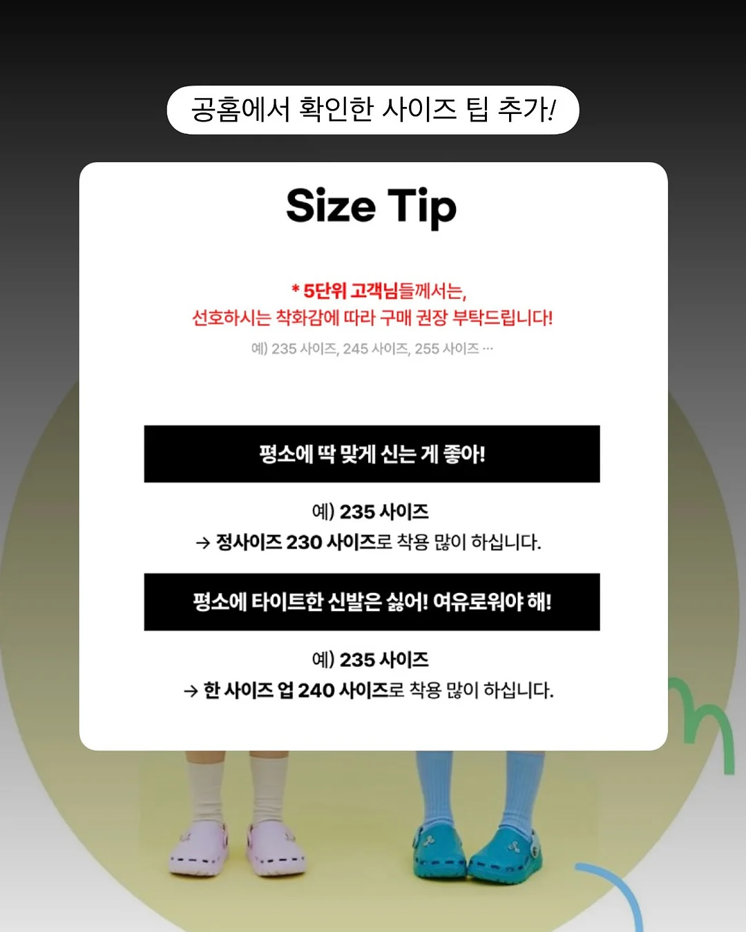 토끼케이크 반구 1호 10