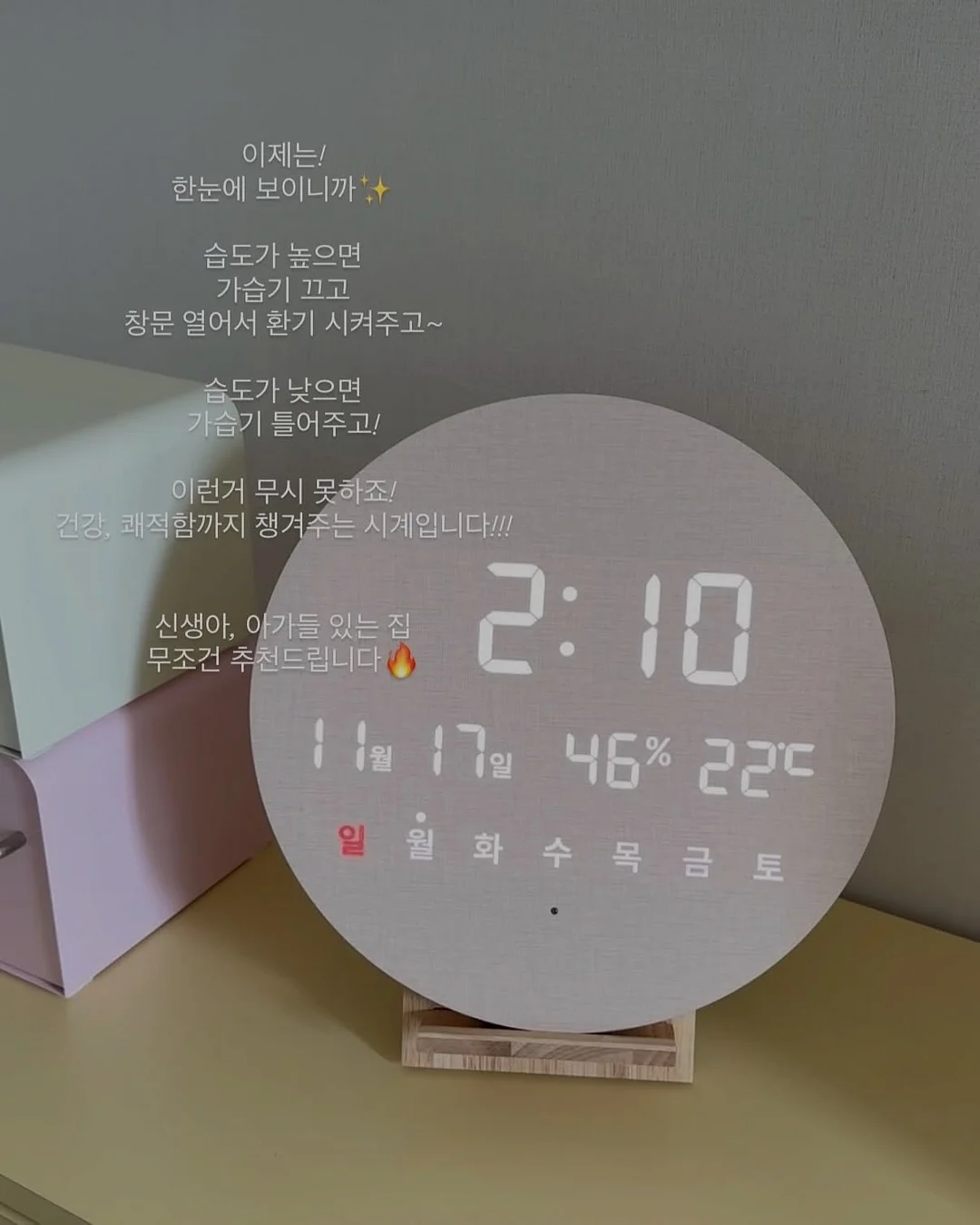 위드잇 치킨스톡 11