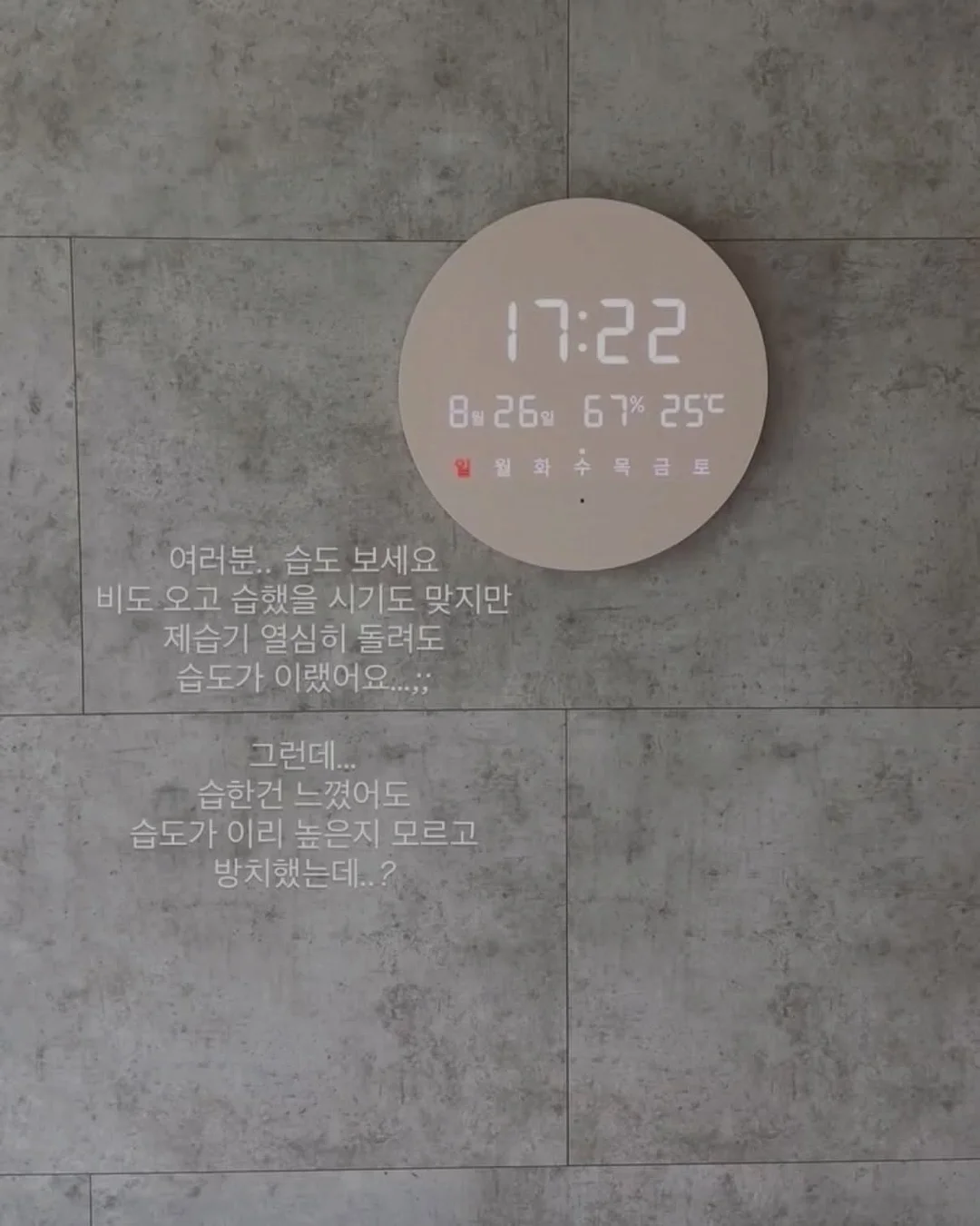 위드잇 치킨스톡 10