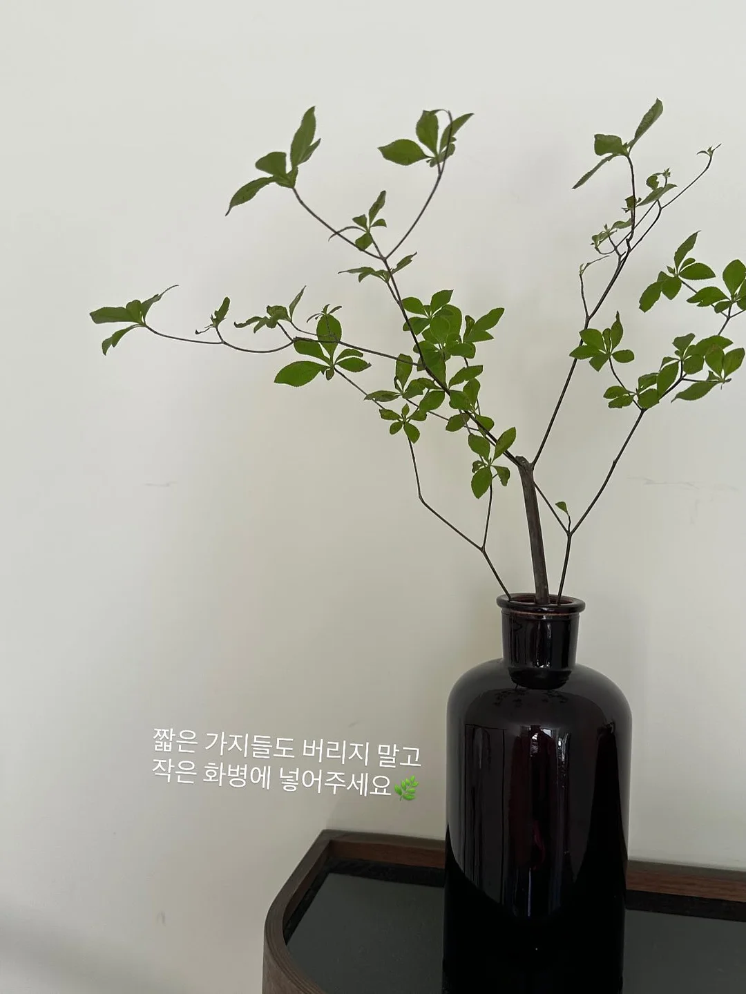 Asymar 화이트 스커트 12