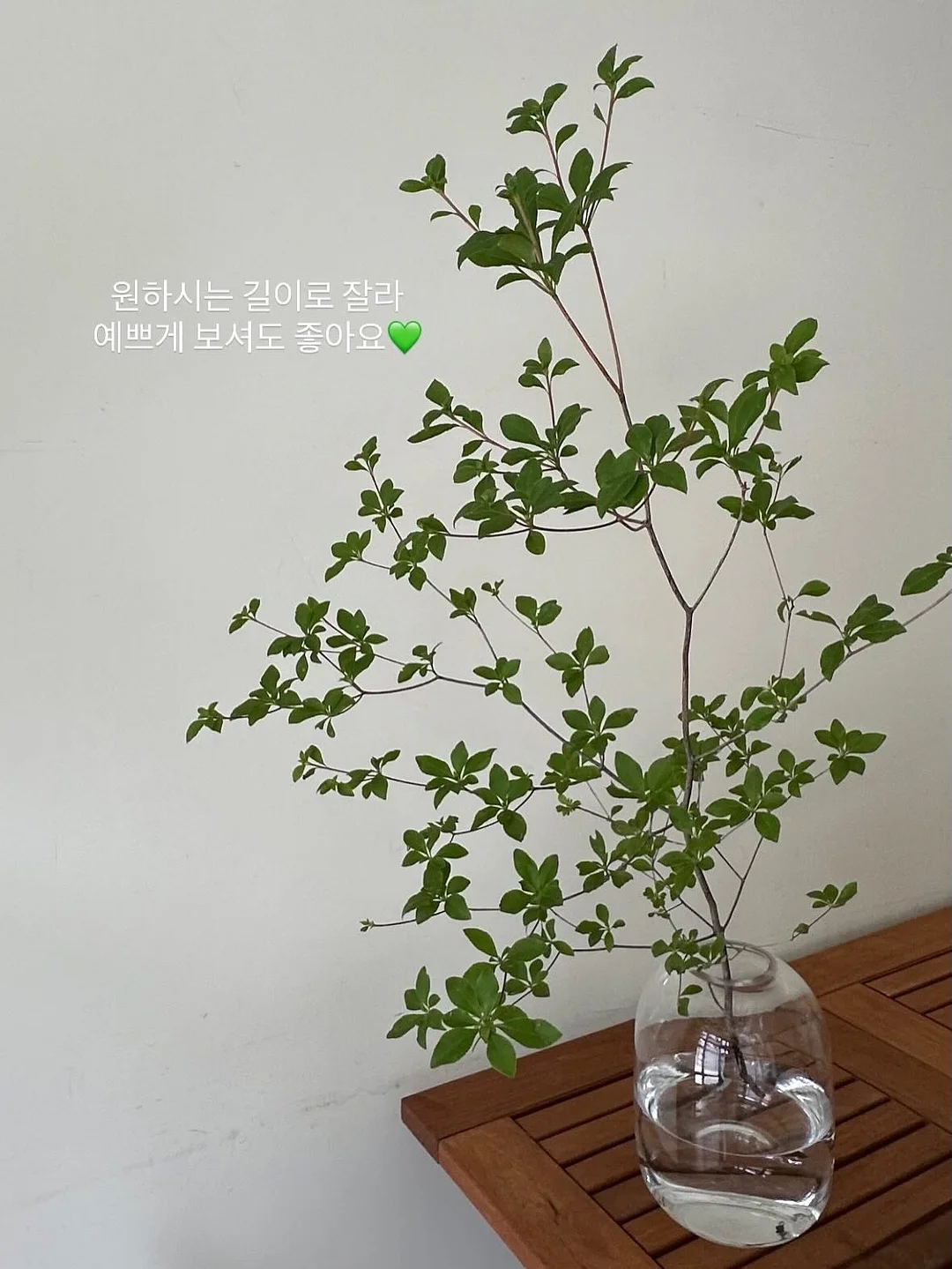 Asymar 화이트 스커트 14