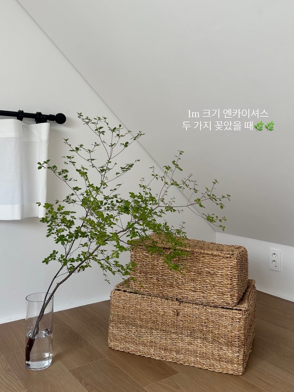 Asymar 화이트 스커트 6