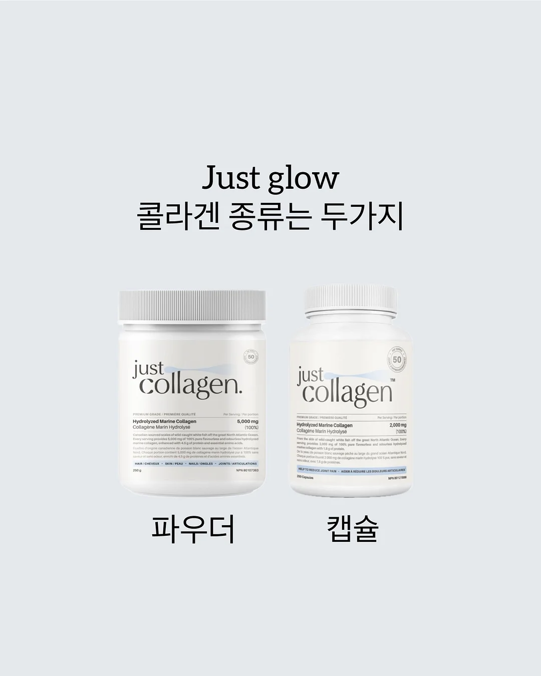 가디건 2