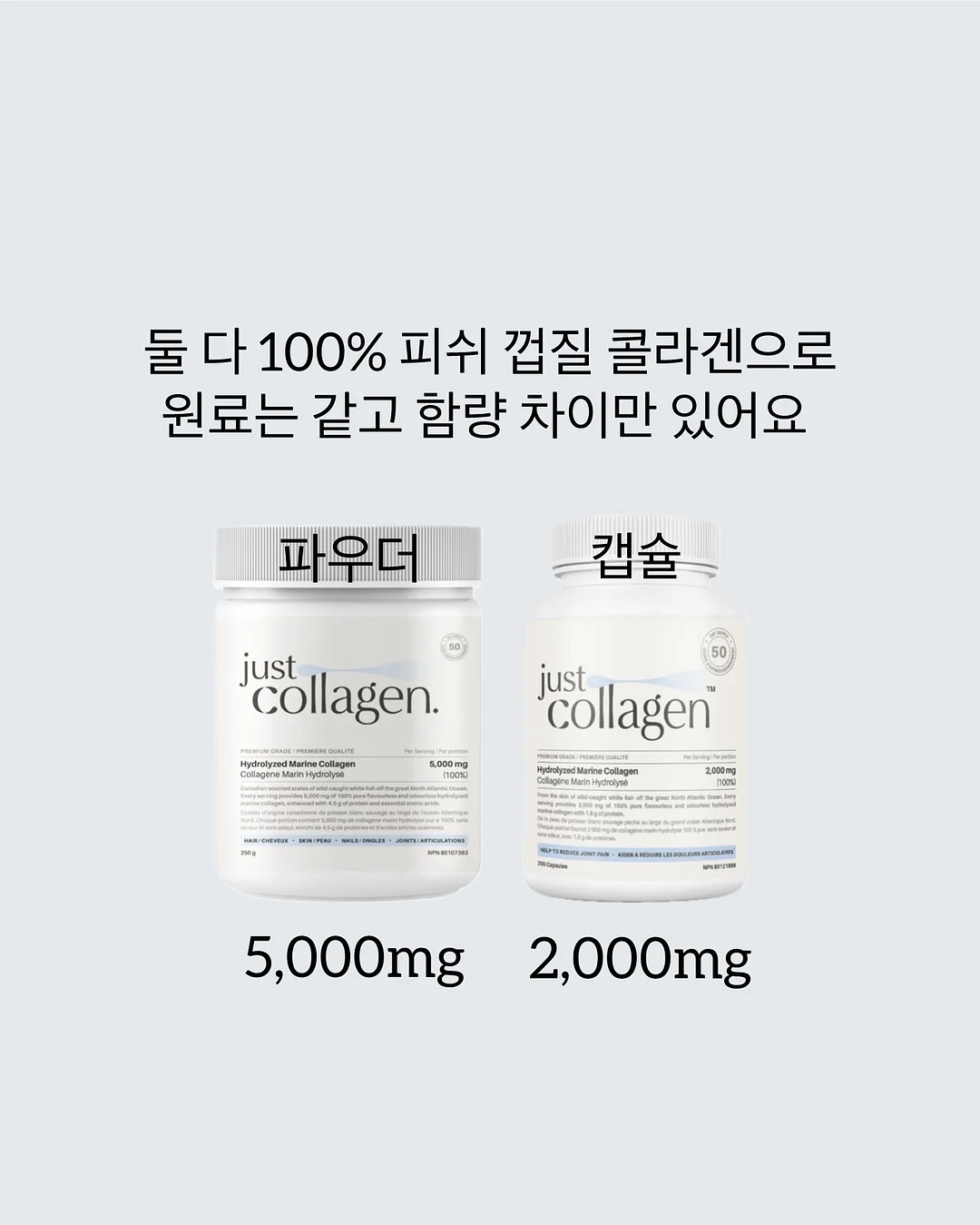 가디건 3