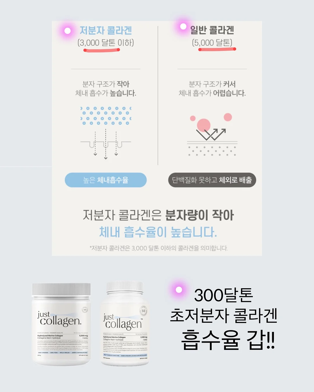 가디건 4