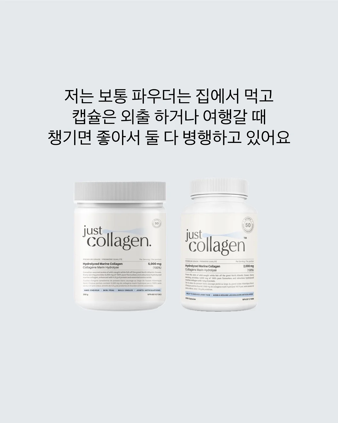 가디건 8