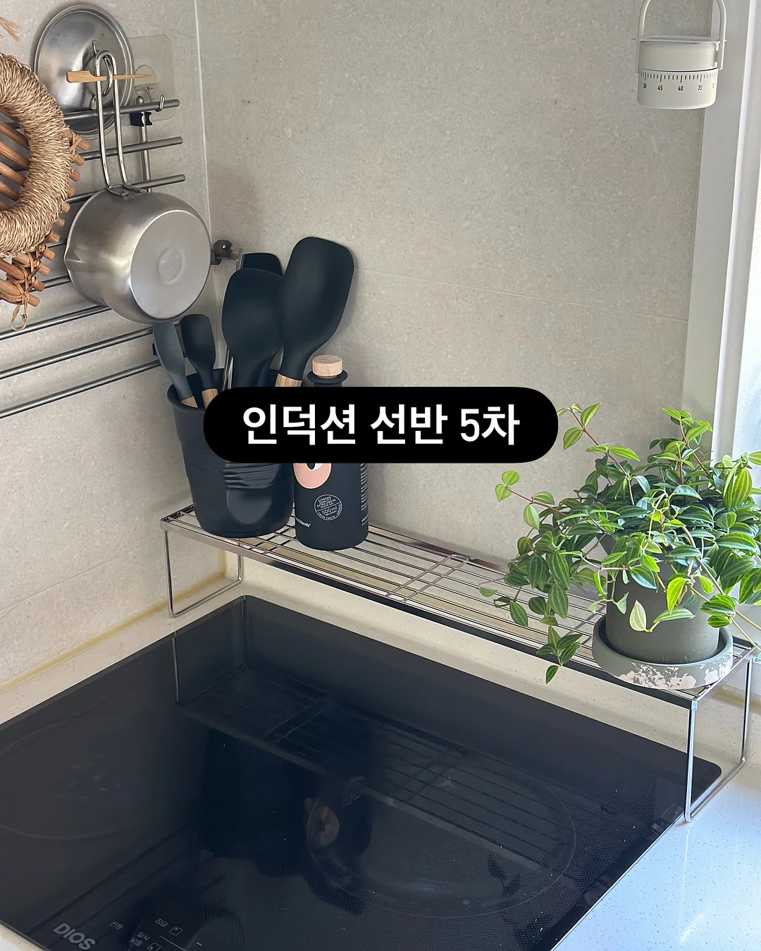 웨스트우드 플레어 원피스 5