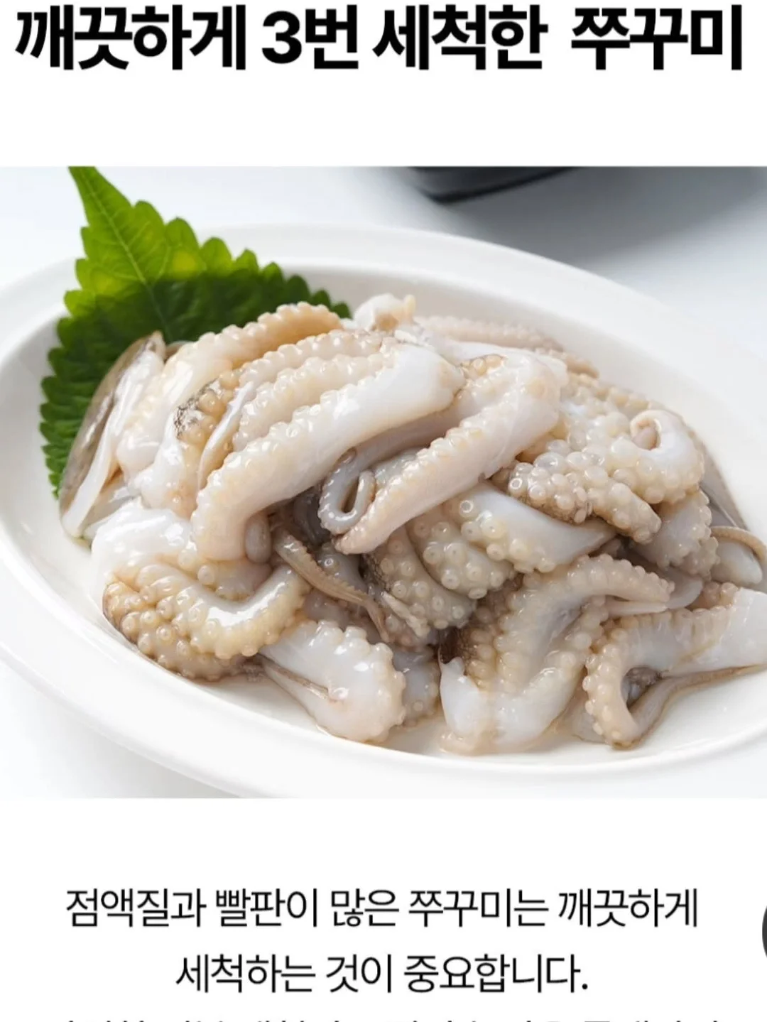 꾸시 셋업 6