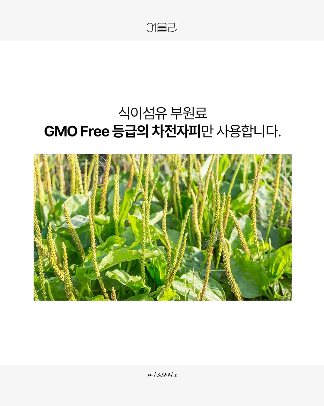 레꼴뜨 무선 초퍼 4