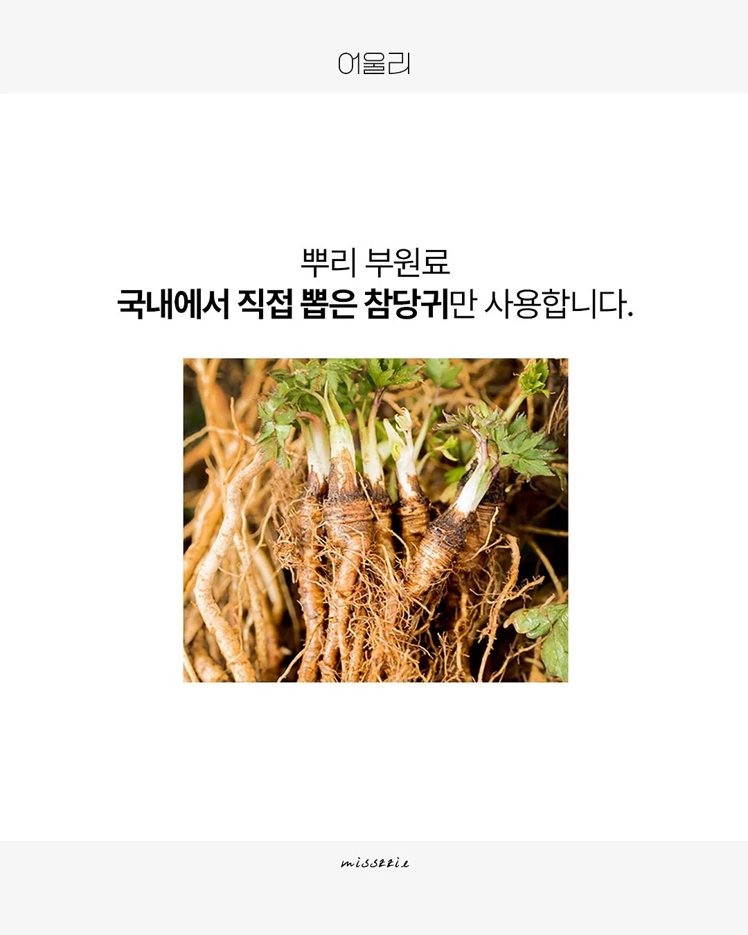 레꼴뜨 무선 초퍼 5