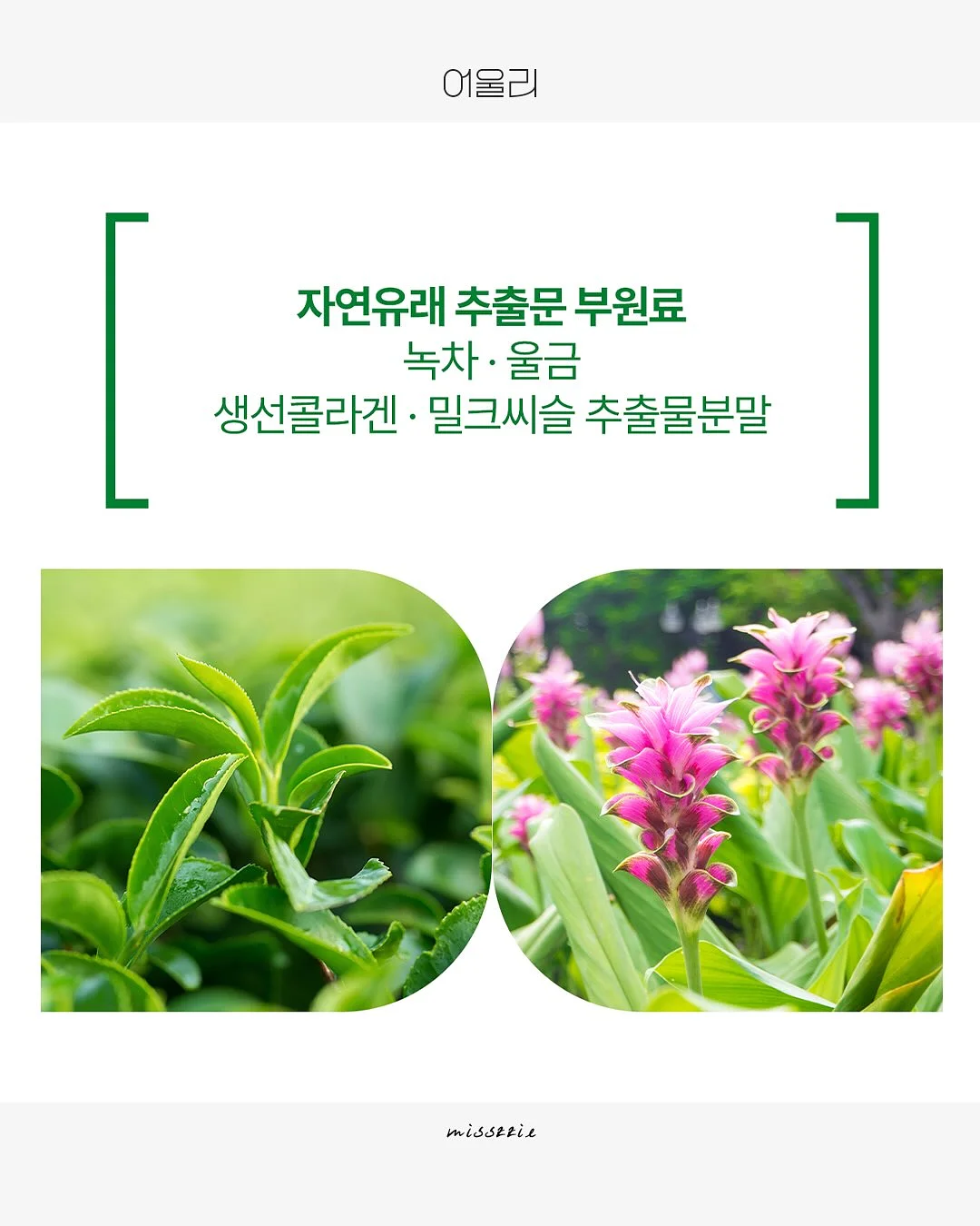 레꼴뜨 무선 초퍼 6