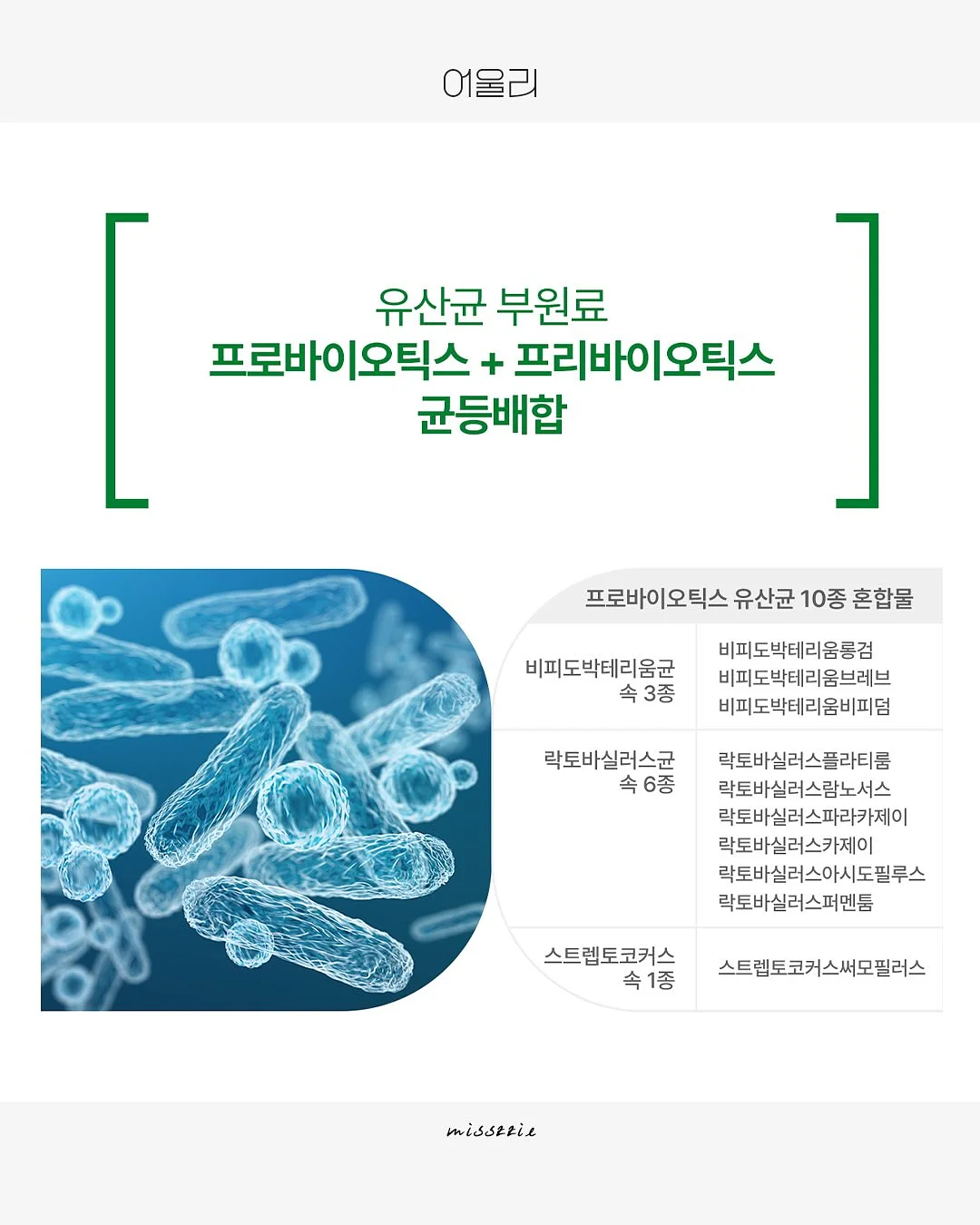 레꼴뜨 무선 초퍼 7