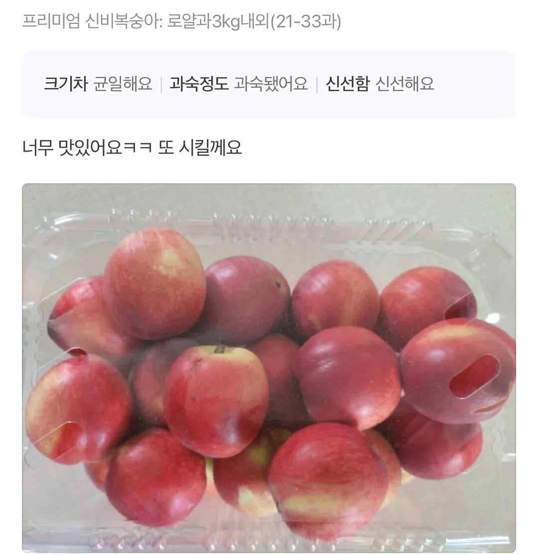 초미니 선풍기 11