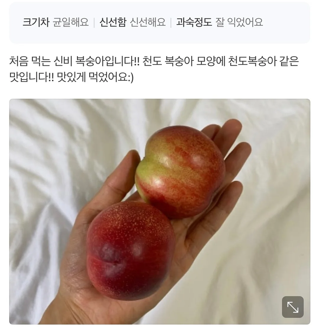 초미니 선풍기 15