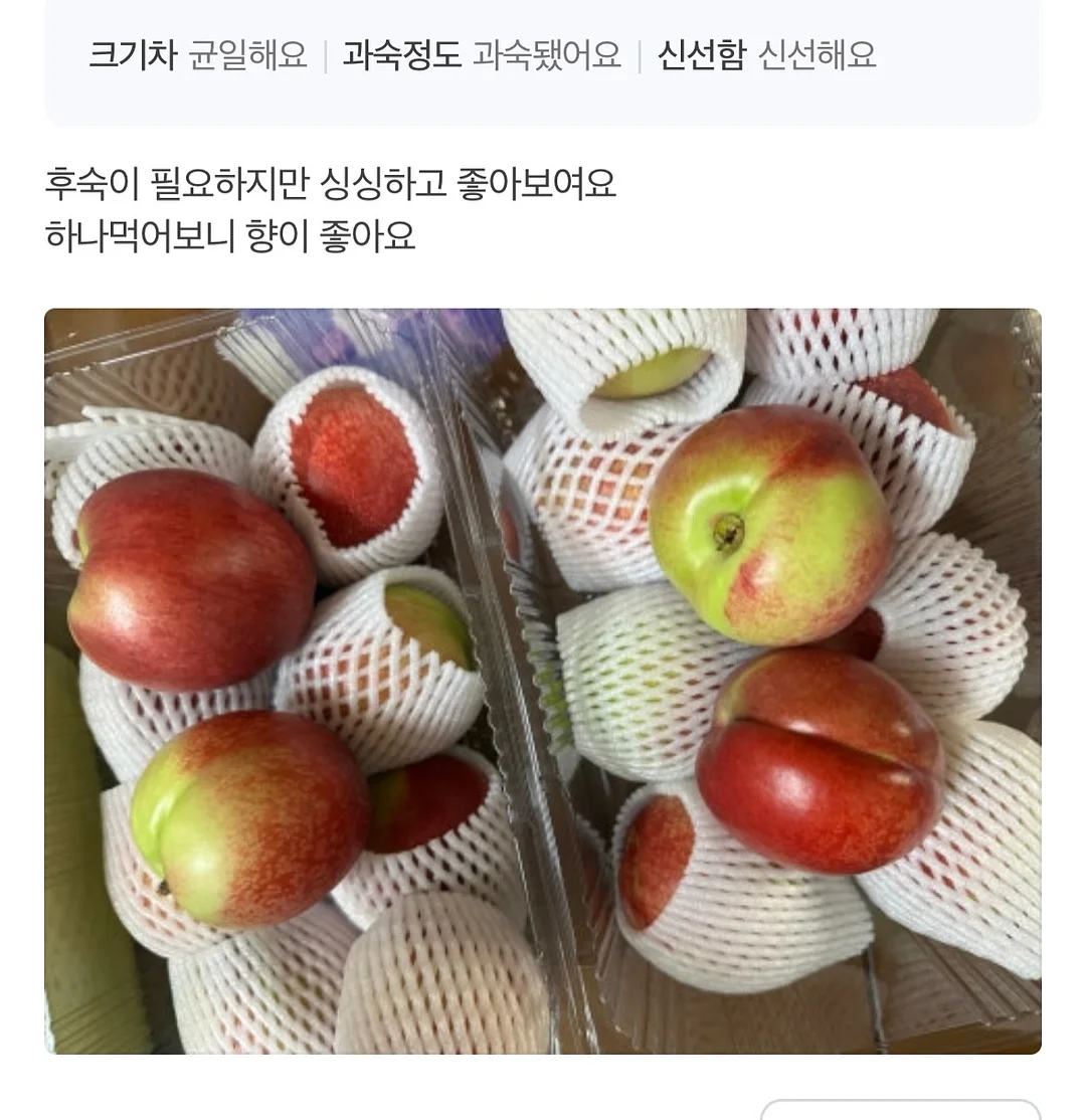 초미니 선풍기 3