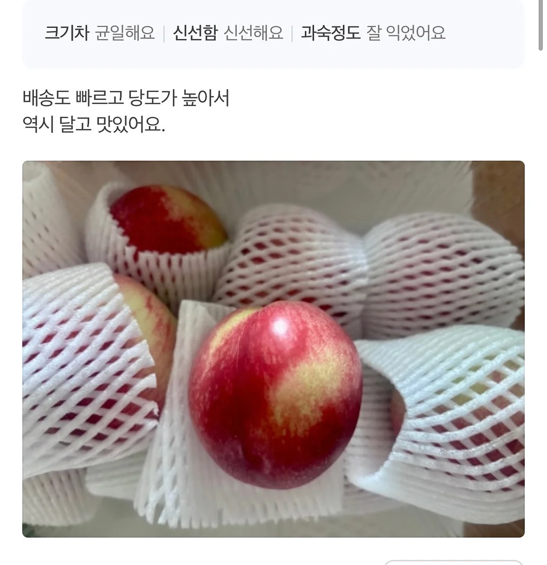 초미니 선풍기 4