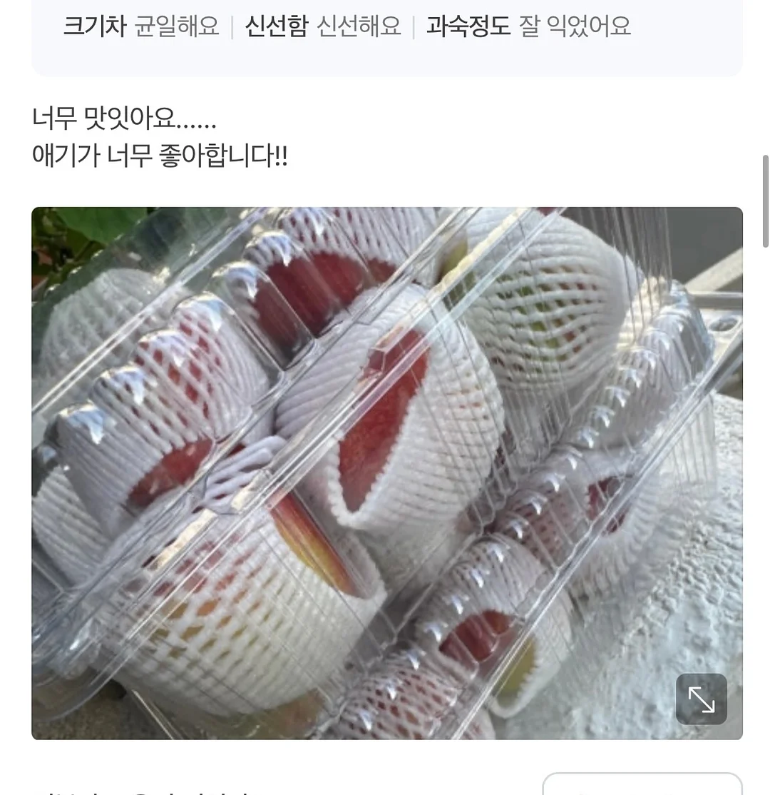 초미니 선풍기 5