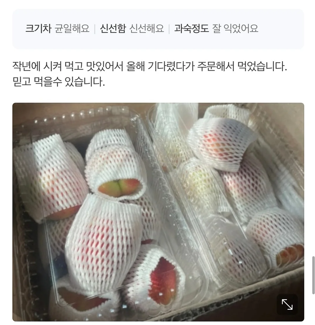 초미니 선풍기 6