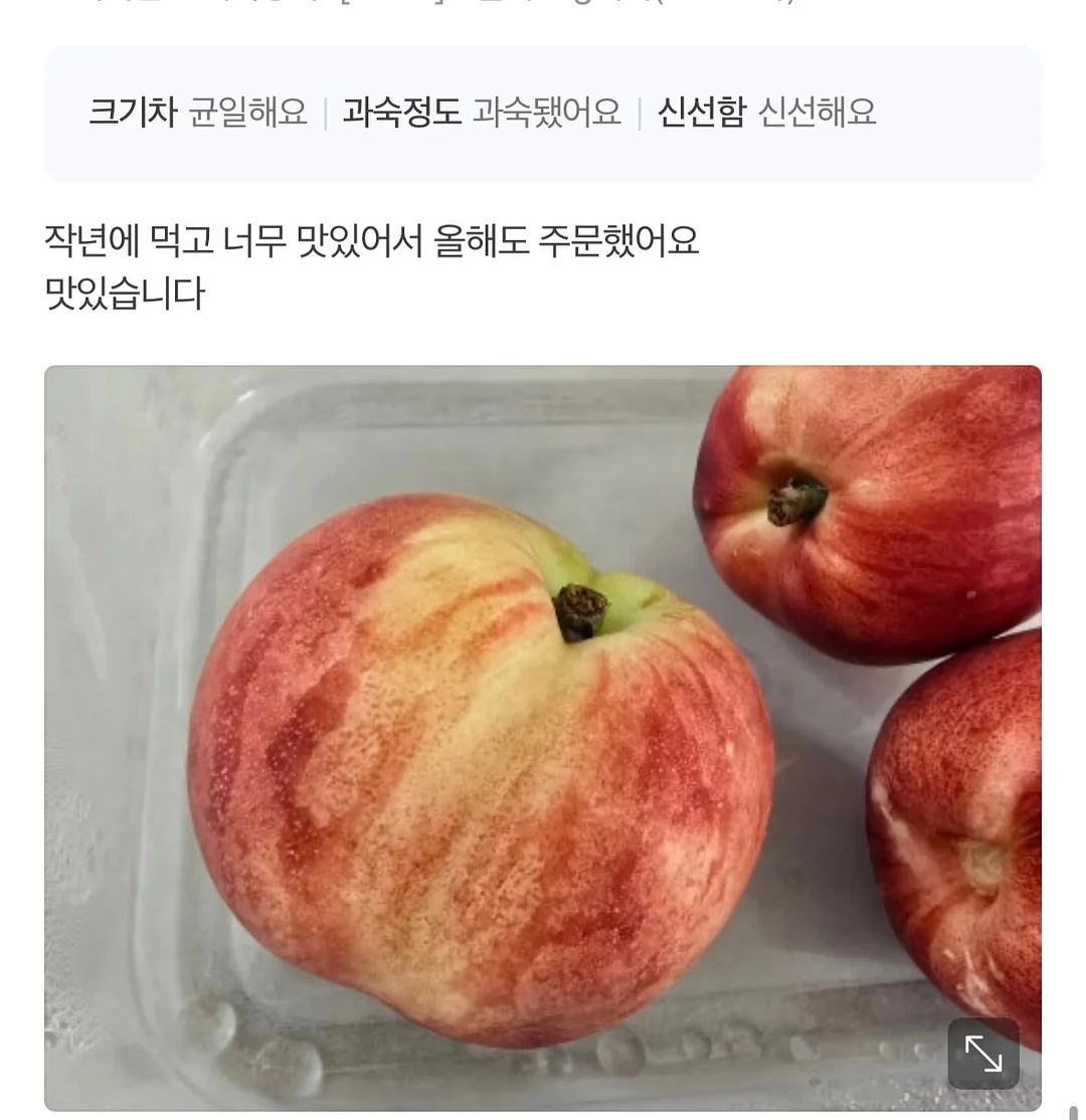 초미니 선풍기 8