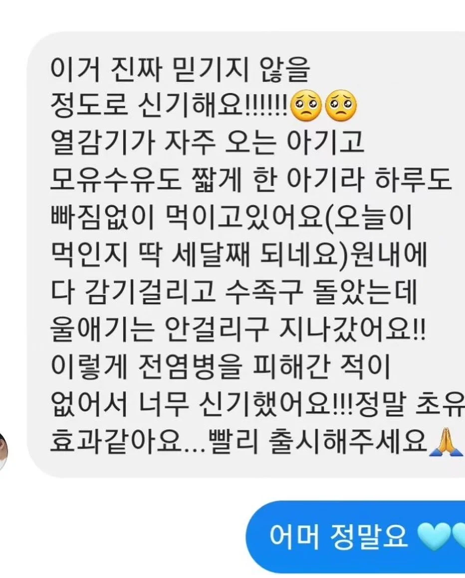 에일린 캡소매 니트 4