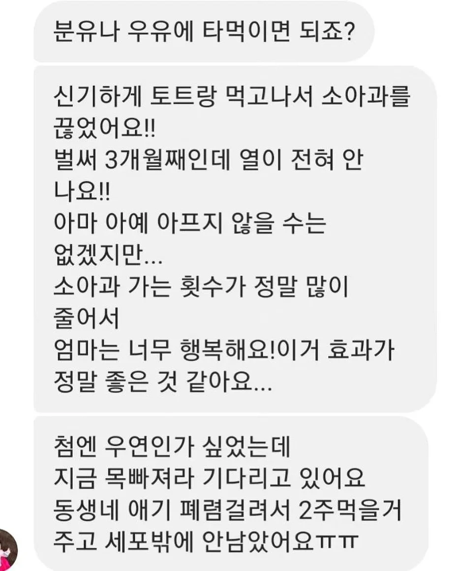 에일린 캡소매 니트 5