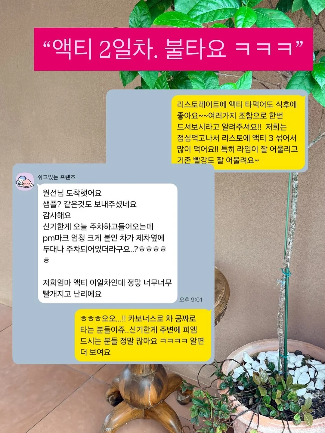 반팔니트와 홀터넥니트 세트 4