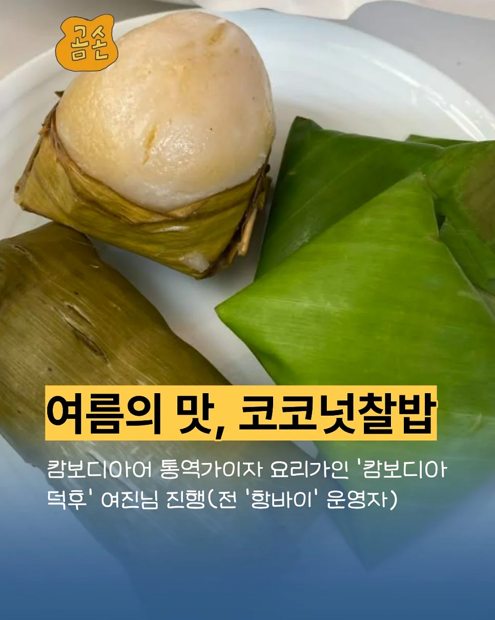 핀꽂고세탁 로터스 형상기억 거실 안방 항균 방한방풍 겨울 암막커튼 9colors 1
