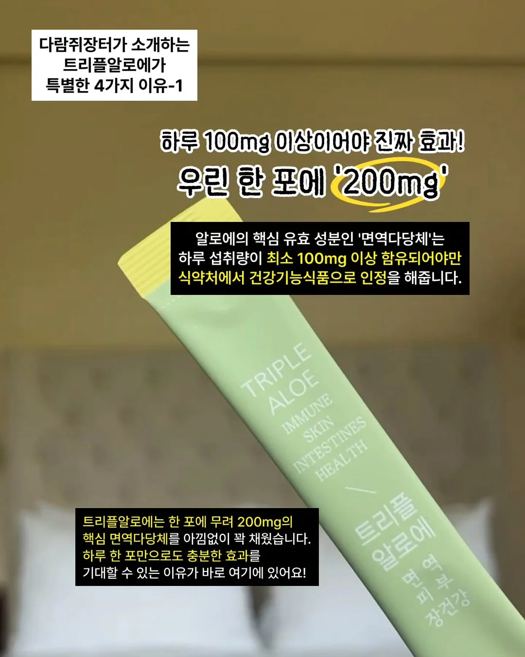 도트 아카이브 set 12