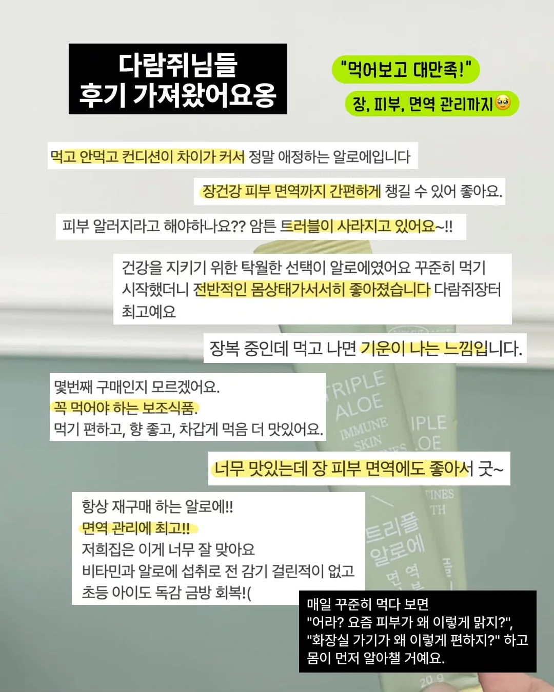 도트 아카이브 set 16