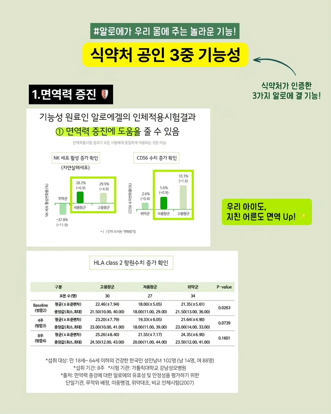 도트 아카이브 set 8