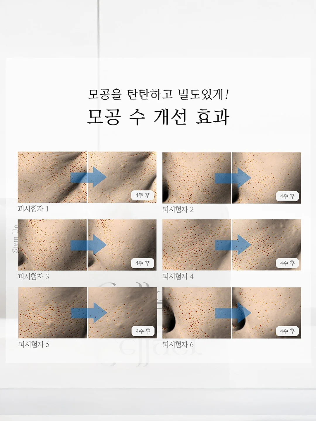 엘플레르 꽃다발 11