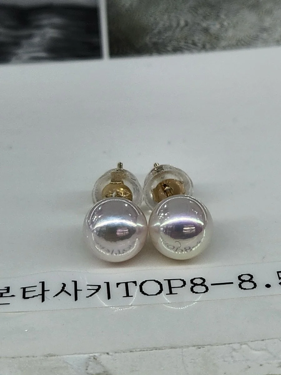 볼륨핏 브라 6