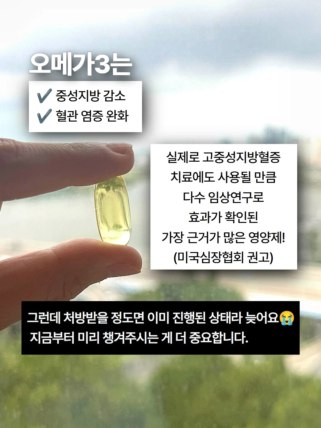 힐조 바디밤/티트리오일/베이비밤/페이스밤/민트밤/소이 캔들/바솝 12종 4