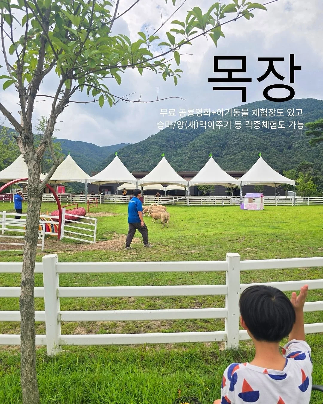모더너스 무타공 벽걸이화분 16