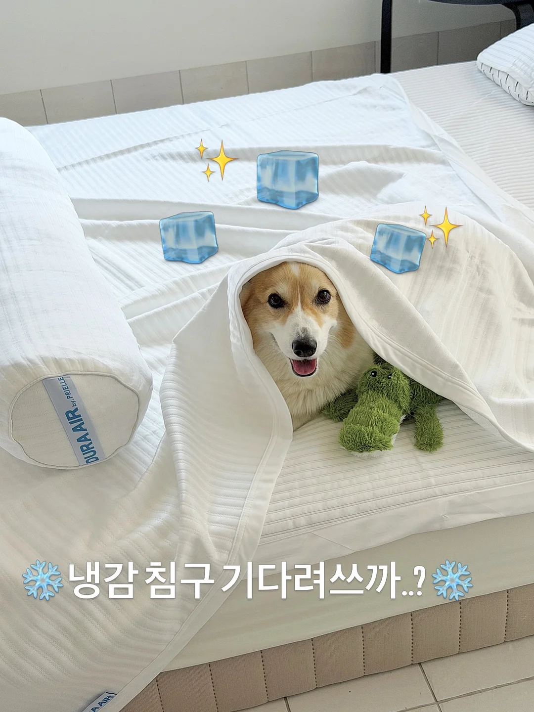 VIVAIA 구두 1