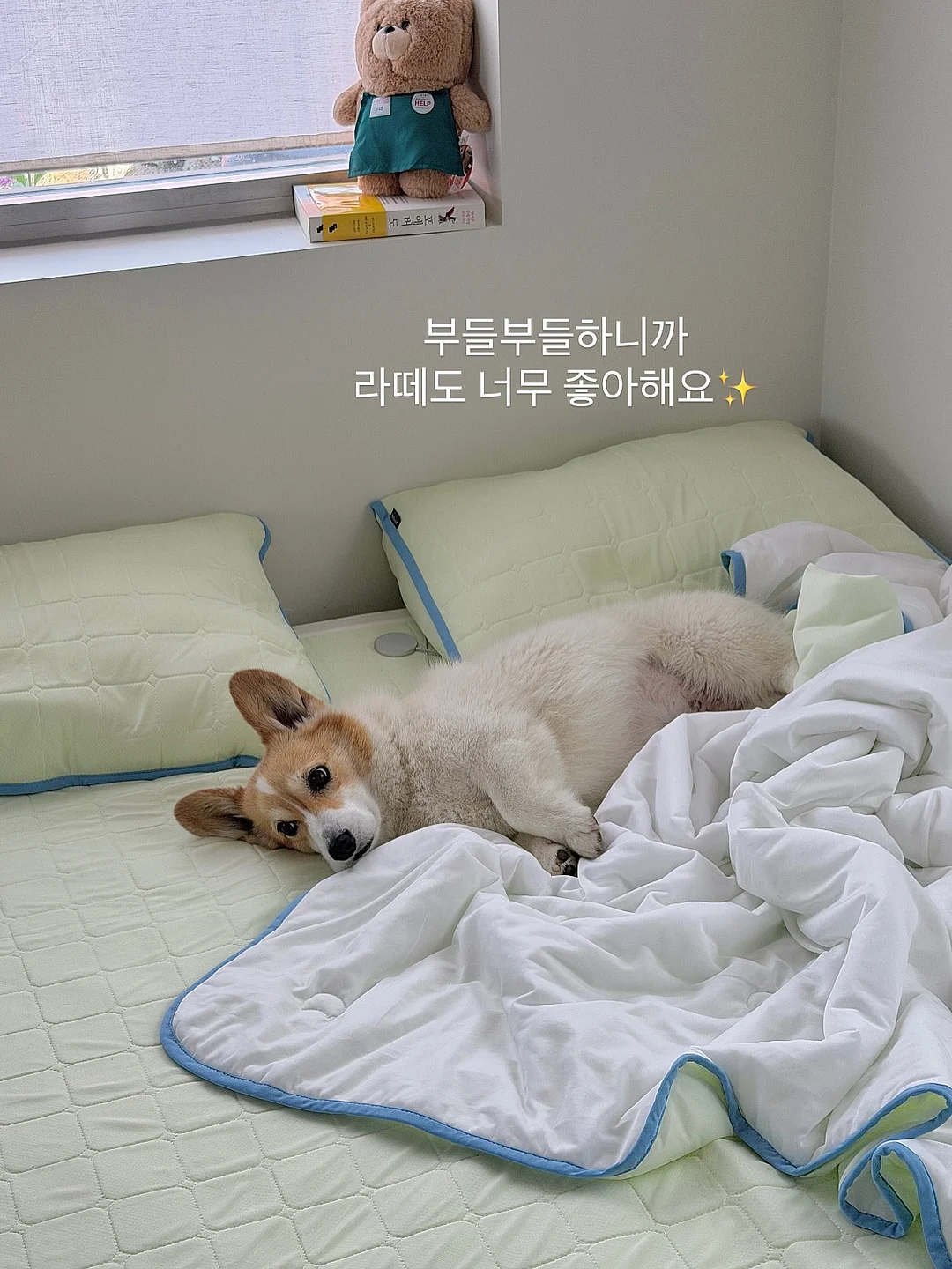 VIVAIA 구두 18