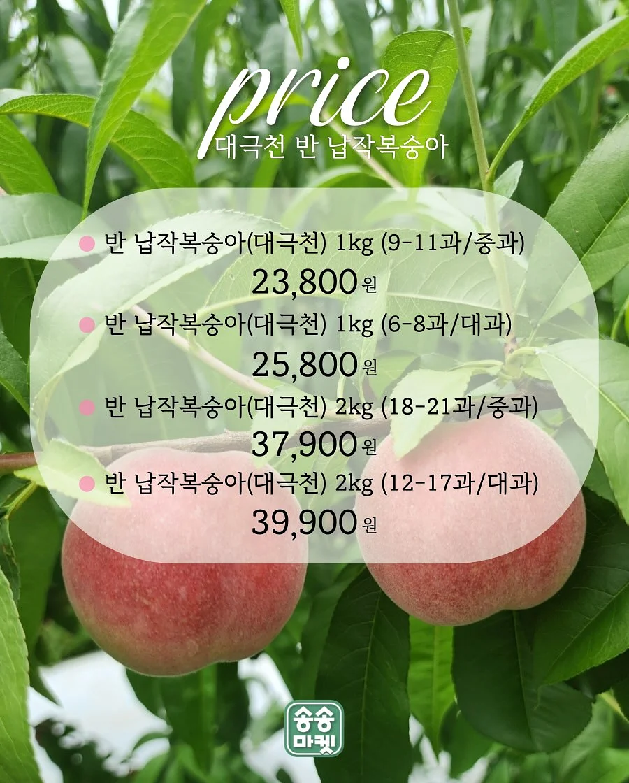 초등 과학 전 영역 통합 과학책 2
